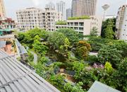 桐林花园-环境绿化