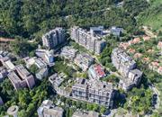 桐林花园-俯瞰图