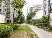 第五园（四期）-环境绿化