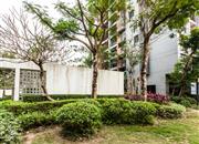 第五园（四期）-环境绿化