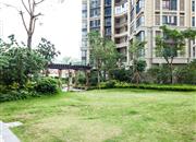 德润荣君府-环境绿化