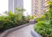 海心汇福园-环境绿化