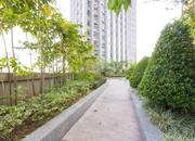 海心汇福园-环境绿化