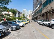 柏丽花园-环境绿化