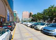 柏丽花园-环境绿化