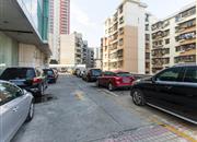 柏丽花园-环境绿化