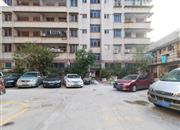 长富花园-环境绿化