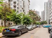 莲花北-环境绿化