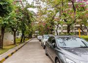 莲花北-环境绿化