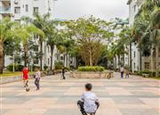 莲花北-环境绿化