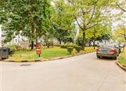 莲花北-环境绿化