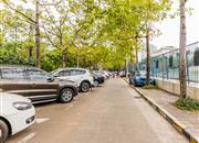 莲花北-环境绿化