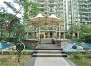 冠城世家-环境绿化