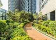 绿景虹湾（虹湾花园）-环境绿化