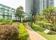 绿景虹湾（虹湾花园）-环境绿化