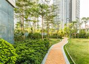 绿景虹湾（虹湾花园）-环境绿化