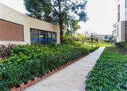 佳兆业新都汇家园（龙岗大道1号）-环境绿化