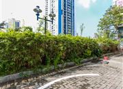 大芬油画苑-环境绿化