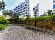 大芬油画苑-环境绿化