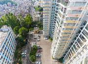 大芬油画苑-俯瞰图