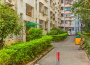 锦林新居-环境绿化