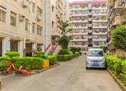 锦林新居-环境绿化