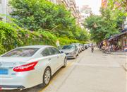 锦林新居-环境绿化