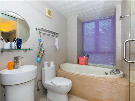 城市山林二期-卫生间