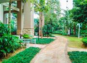 西岸观邸-环境绿化