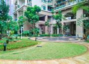 西岸观邸-环境绿化