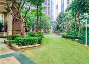 西岸观邸-环境绿化