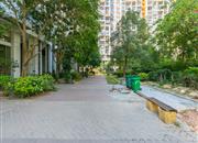 雷圳碧榕湾海景花园-环境绿化