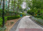 前海天朗风清家园-环境绿化