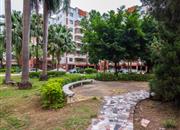 盛龙花园-环境绿化