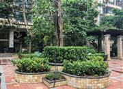 万象新天（三期）-环境绿化