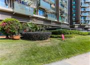 万科红（海轩广场）-环境绿化