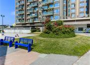 万科红（海轩广场）-环境绿化