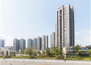 金众云山栖-环境绿化