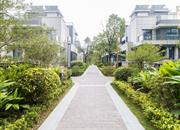 金众云山栖-环境绿化