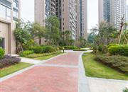 金众云山栖-环境绿化