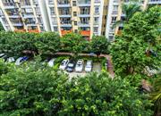 鹏达花园-环境绿化