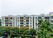 鹏达花园-环境绿化