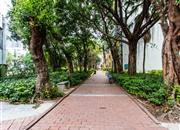 鹏达花园-环境绿化