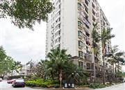 怡乐花园（一期）-环境绿化