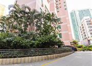 向西大厦-环境绿化