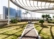 志健时代广场-环境绿化