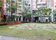 花园城三期-环境绿化