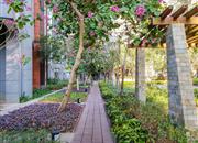 花园城三期-环境绿化