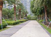 三湘海尚花园一期-环境绿化