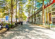 佳宁娜友谊广场-环境绿化